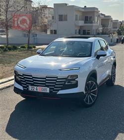 جيتور داشينج